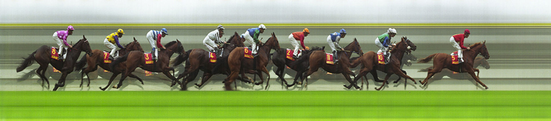 horse3